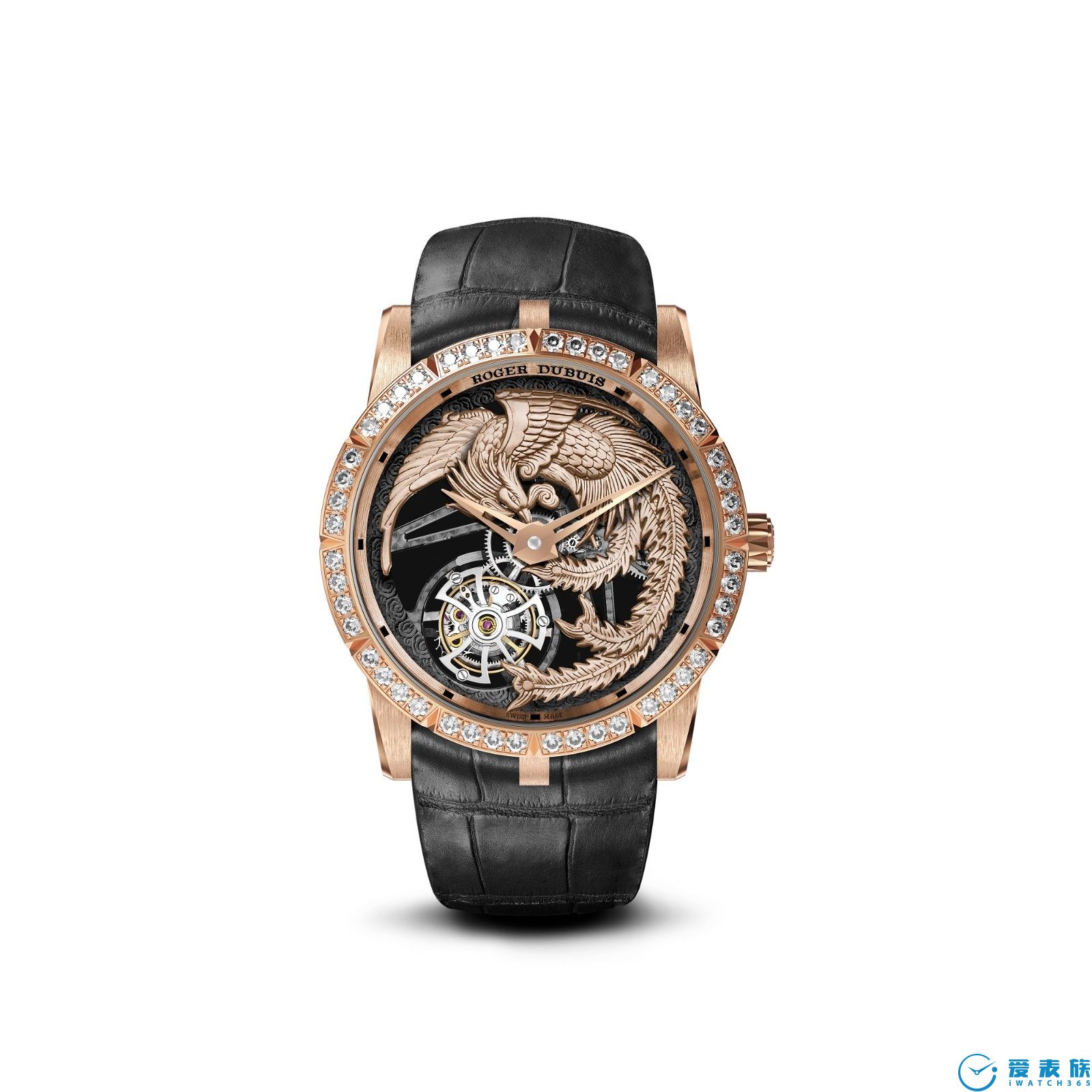 Roger Dubuis޽ܶű  Ʒ